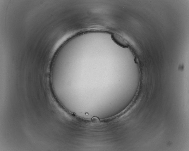 X0000093121325200709261005