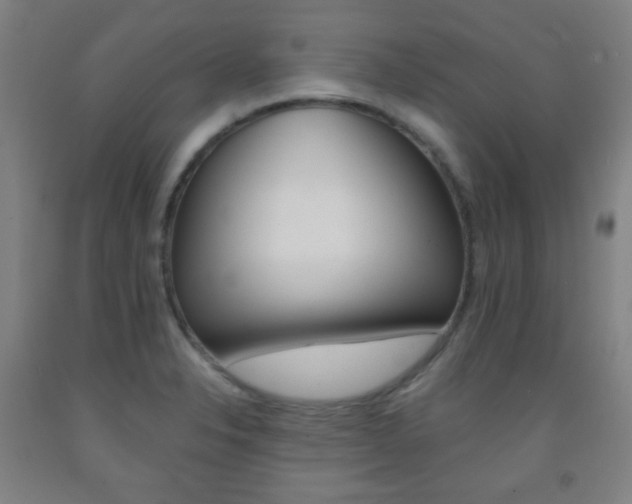 X0000093121326200709261005