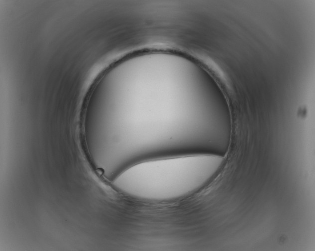 X0000093121327200709261005