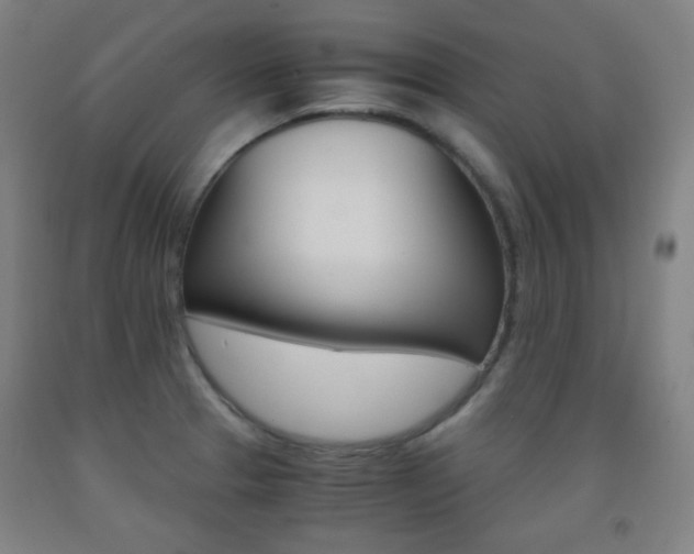 X0000093121329200709261005