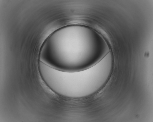 X0000093121330200709261005