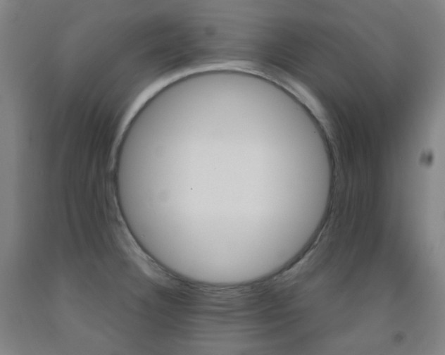 X0000093121332200709261005