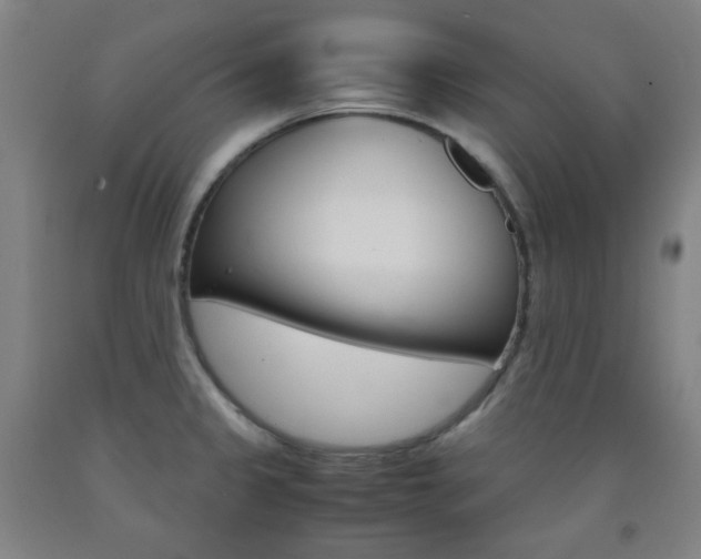 X0000093121333200709261006