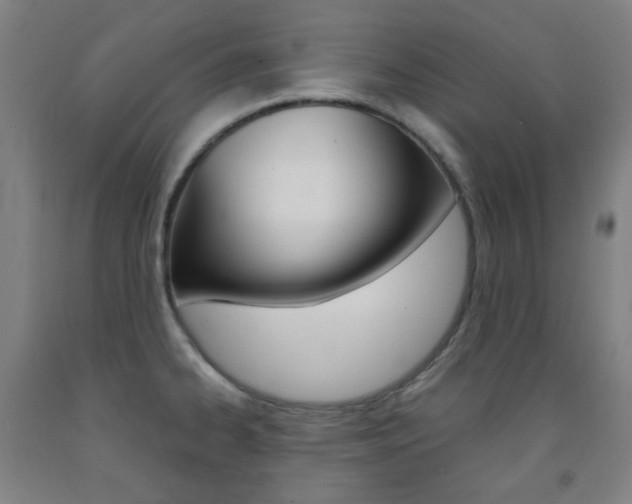 X0000093121334200709261006
