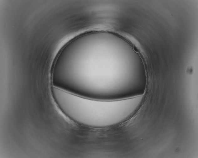 X0000093121335200709261006