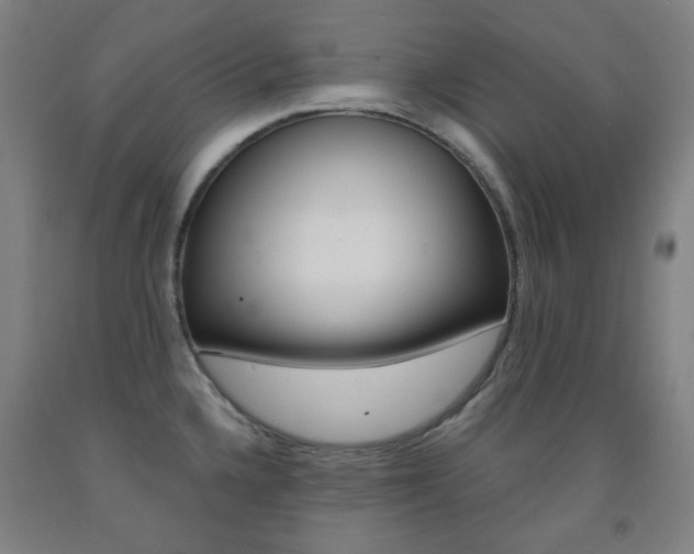 X0000093121336200709261006