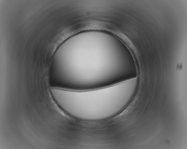 X0000093121337200709261006