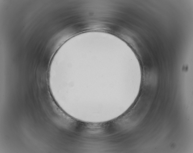 X0000093121338200709261006