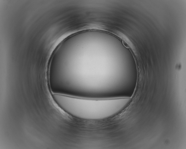 X0000093121339200709261006