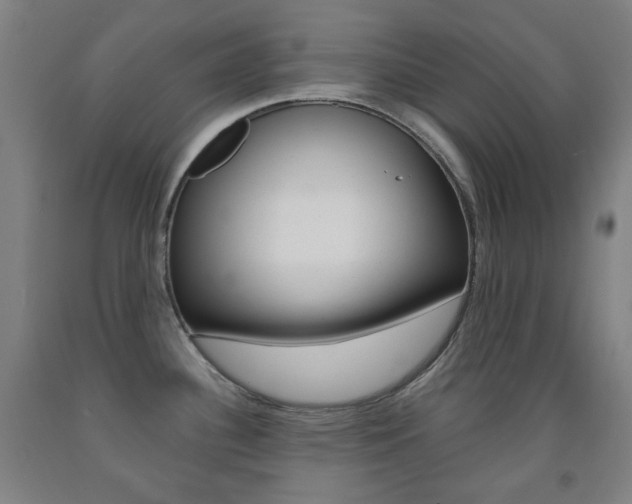 X0000093121340200709261006