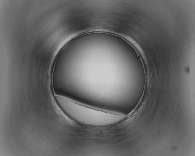 X0000093121341200709261006