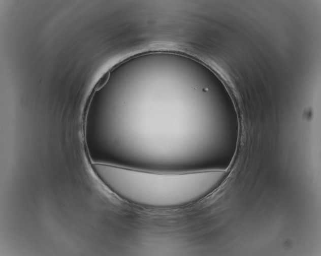 X0000093121342200709261006