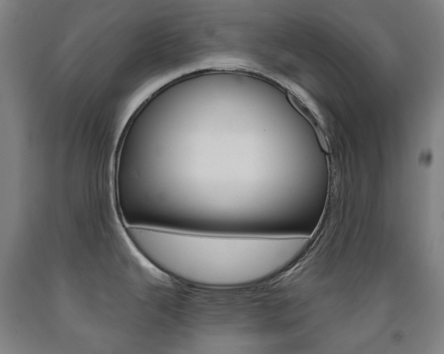 X0000093121343200709261006