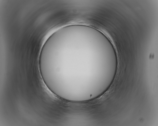 X0000093121344200709261006