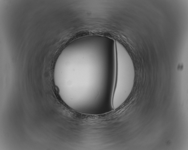 X0000093121345200709261005