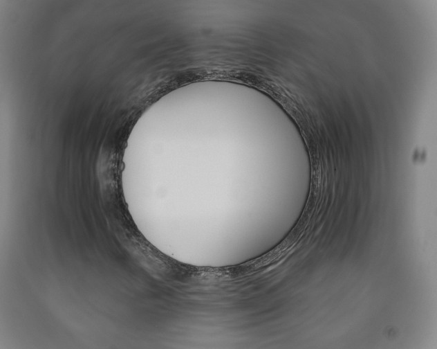 X0000093121346200709261005