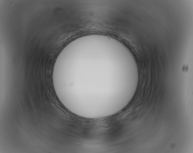 X0000093121348200709261005