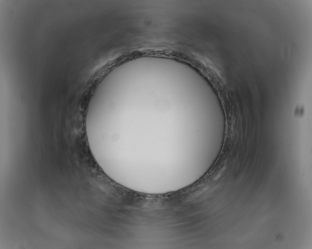 X0000093121350200709261005
