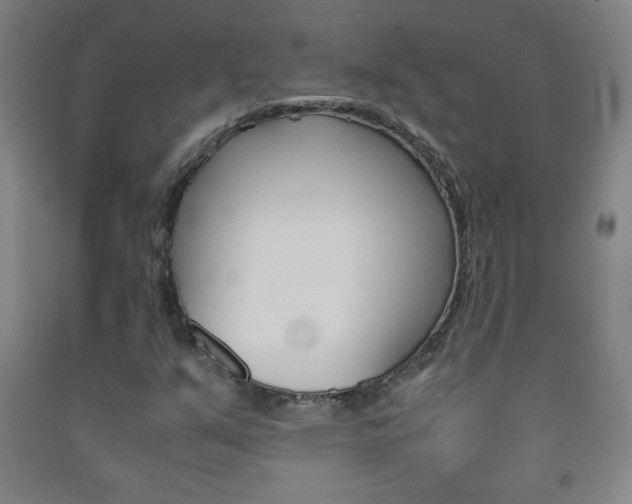 X0000093121351200709261005