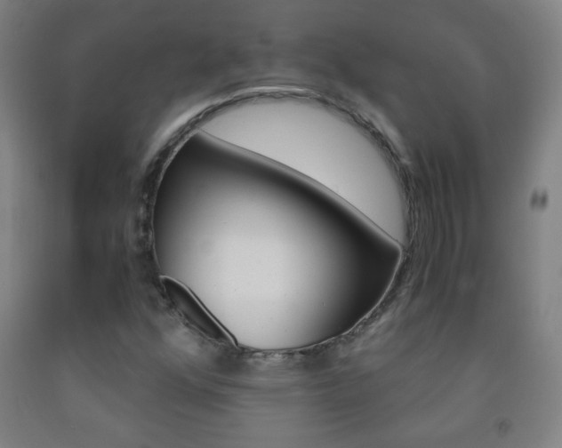 X0000093121352200709261005