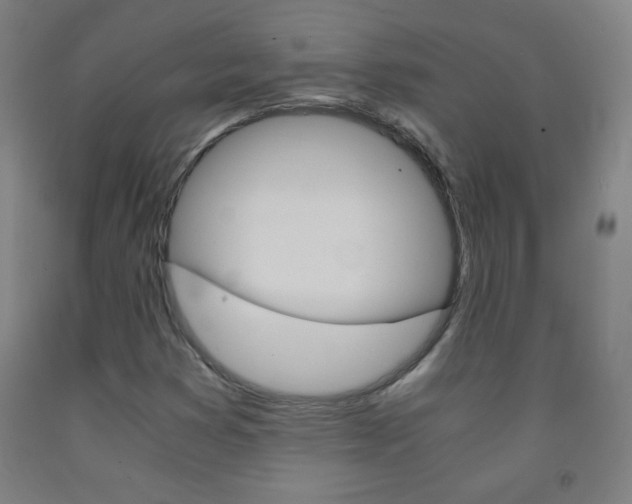 X0000093121353200709261005