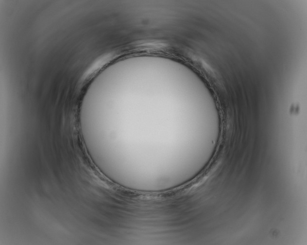 X0000093121354200709261005