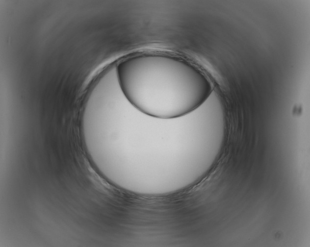 X0000093121356200709261005