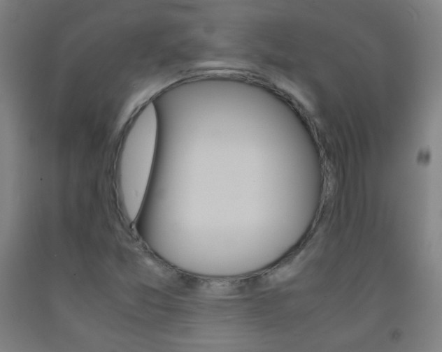 X0000093121357200709261005