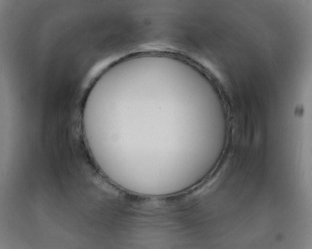 X0000093121358200709261005