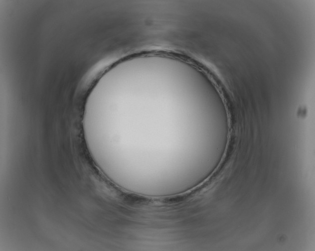 X0000093121359200709261005