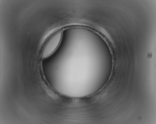 X0000093121360200709261005