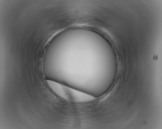 X0000093121361200709261005