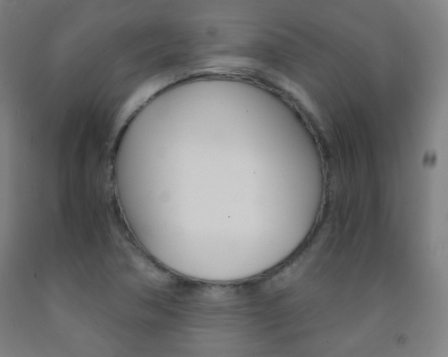 X0000093121362200709261005