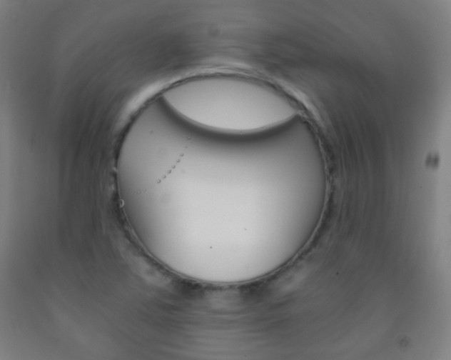 X0000093121363200709261005
