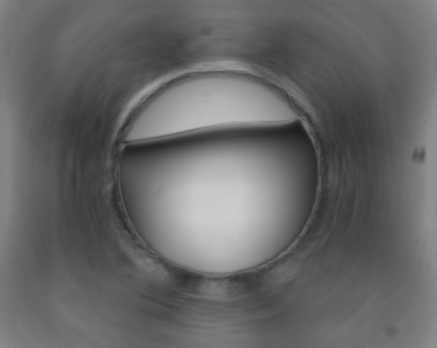 X0000093121364200709261005
