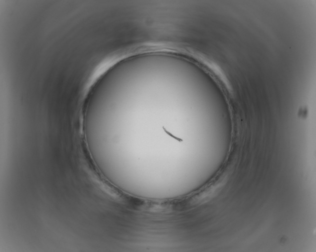 X0000093121365200709261005