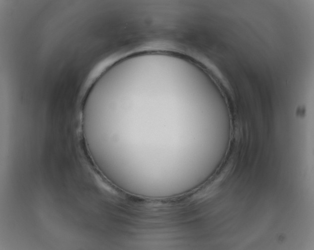 X0000093121366200709261005