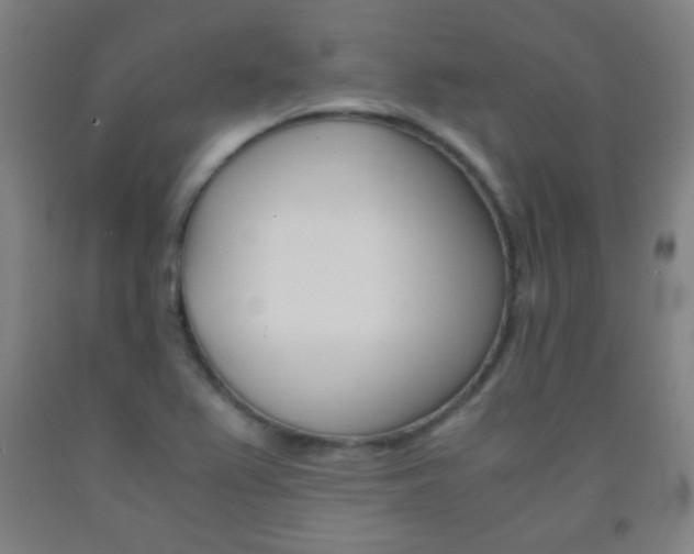 X0000093121367200709261005
