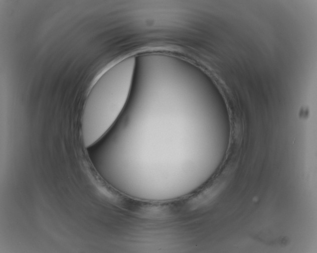 X0000093121369200709261005