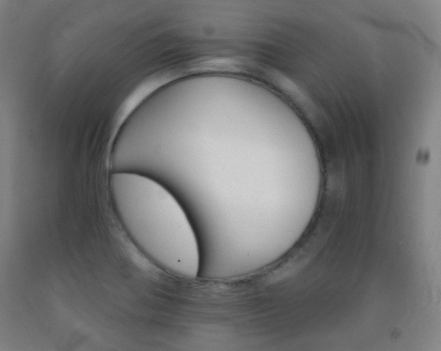 X0000093121370200709261005