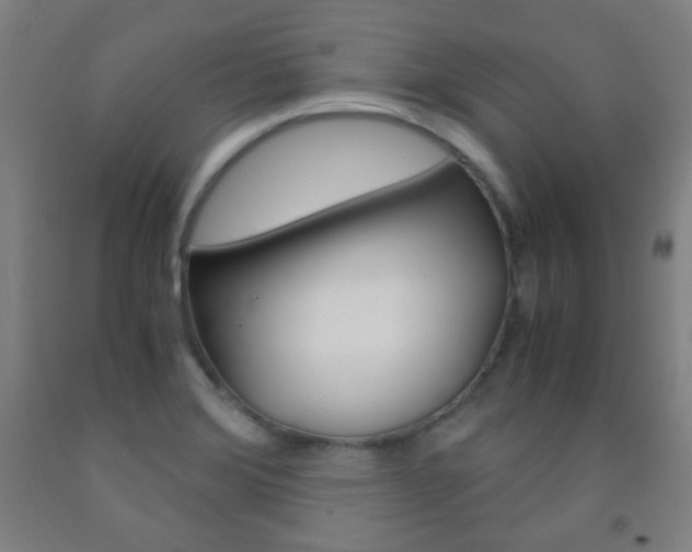 X0000093121372200709261005