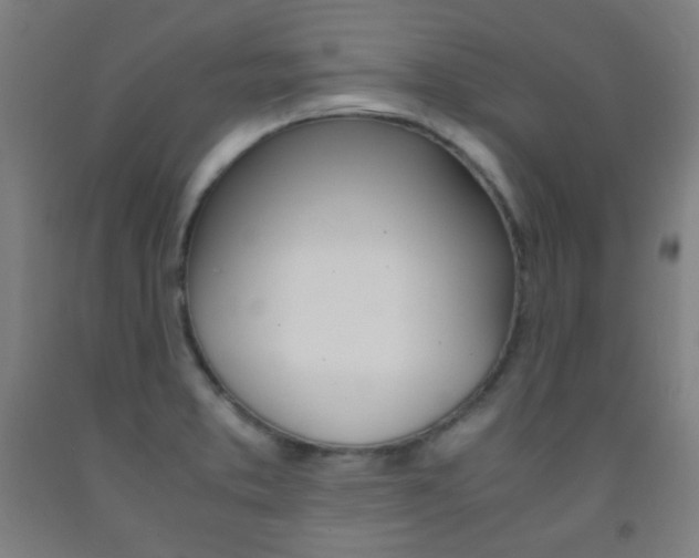 X0000093121373200709261005