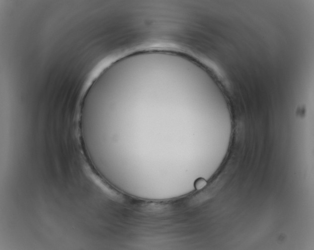 X0000093121374200709261005