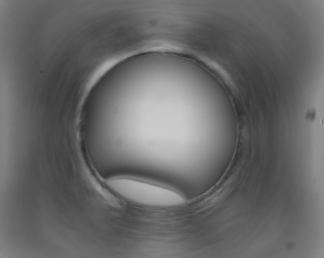 X0000093121375200709261004