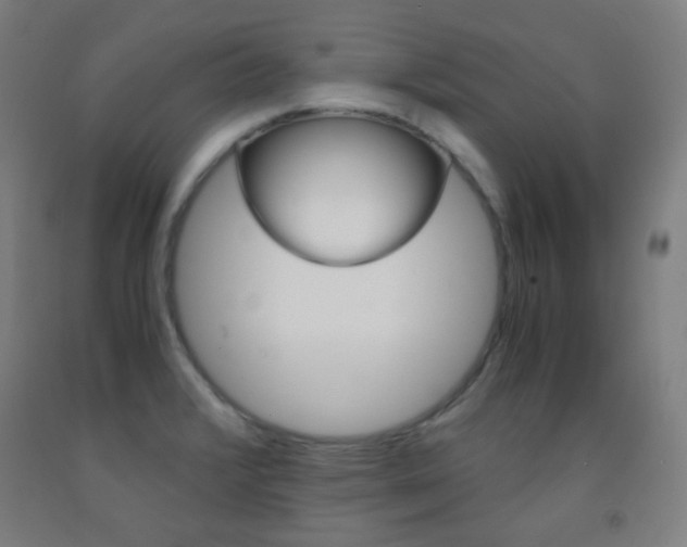 X0000093121376200709261004