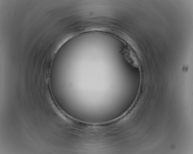 X0000093121377200709261004