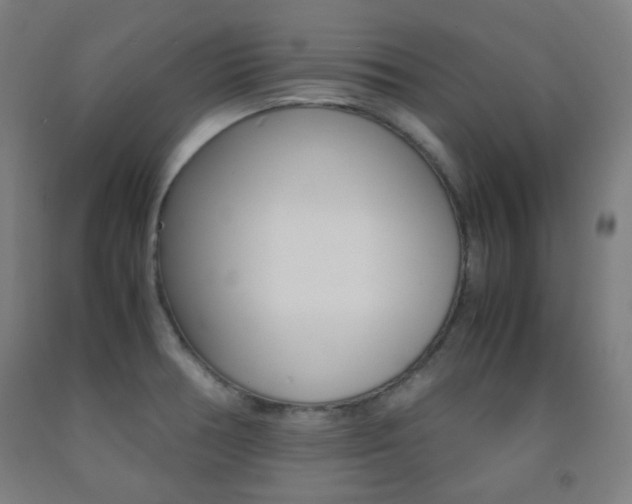 X0000093121378200709261004
