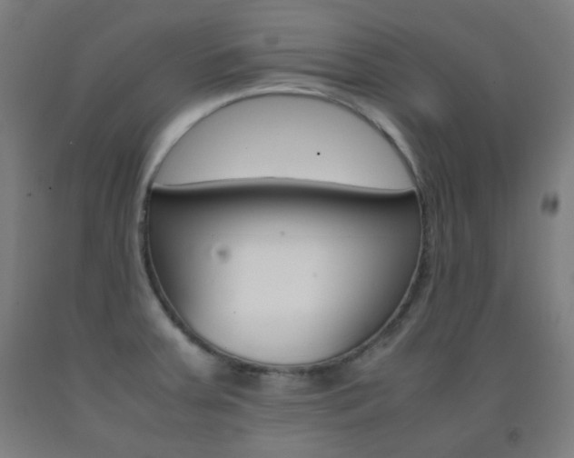 X0000093121379200709261004
