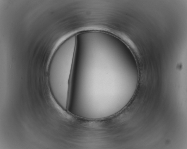 X0000093121380200709261004