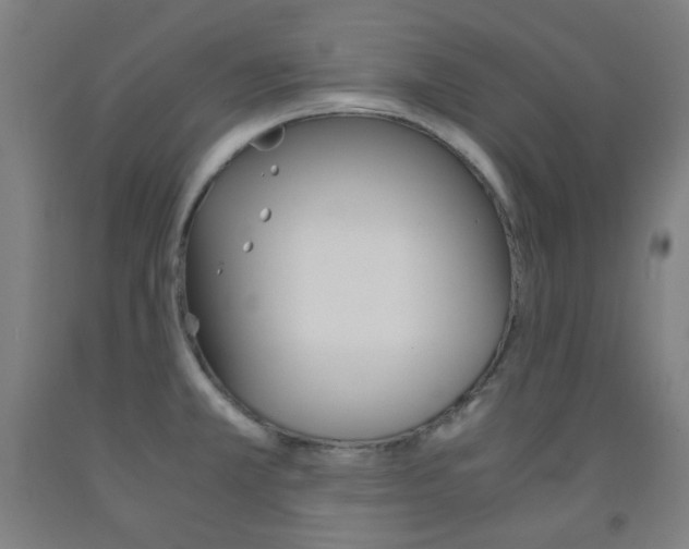 X0000093121381200709261004